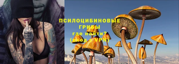 шишки Богородицк